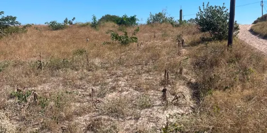 Vende-se terreno de 15x30 m a 80 m da N1, 2.º Bairro Eduardo Mondlane, Marracuene